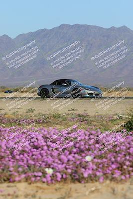 media/Jan-29-2023-PCA San Diego (Sun) [[aa0301ccc2]]/Yellow Group/Session 1 (Turn 15 Bloom)/